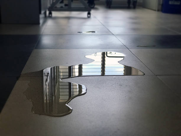 Best Water damage restoration near me  in Roxborough Park, CO