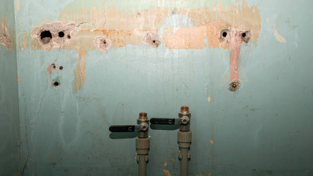 Best Water damage restoration near me  in Roxborough Park, CO