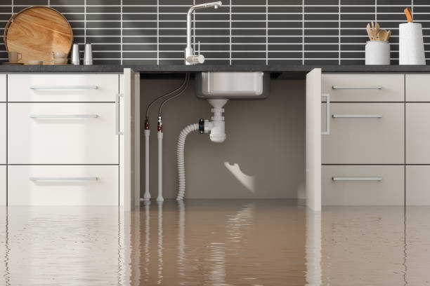 Best 24/7 water damage repair  in Roxborough Park, CO