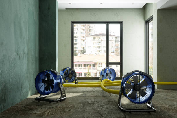 Best Professional water damage repair  in Roxborough Park, CO