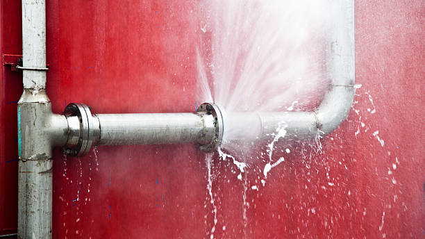 Best Flooded house restoration  in Roxborough Park, CO