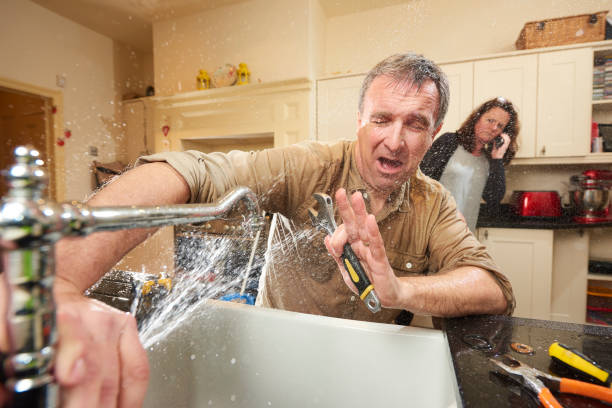 Best Local water damage restoration  in Roxborough Park, CO